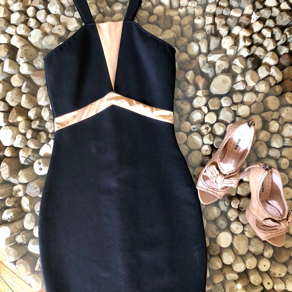 Torn by Ronny Kobo Black/Nude Mesh Fitted Dress